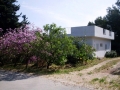 propriétés à vendre nord Israël.